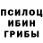 Псилоцибиновые грибы Magic Shrooms Stereolesch
