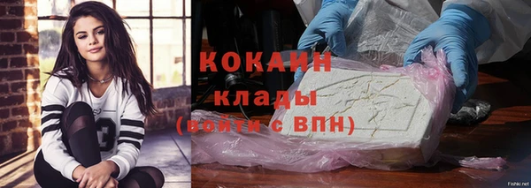 гидра Костерёво