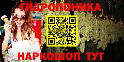 Альфа ПВП Ипатово