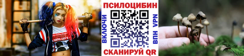 Галлюциногенные грибы ЛСД  дарк нет наркотические препараты  Фрязино  купить  
