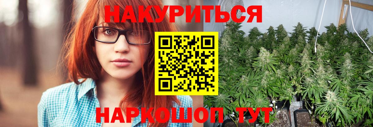 Фрязино  Марихуана сатива  Марихуана OG Kush  Вход с VPN  Бошки Шишки Ganja 
